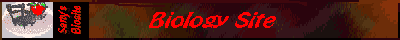 BioSite