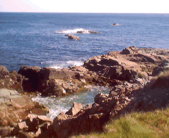 Gooseberry Cove